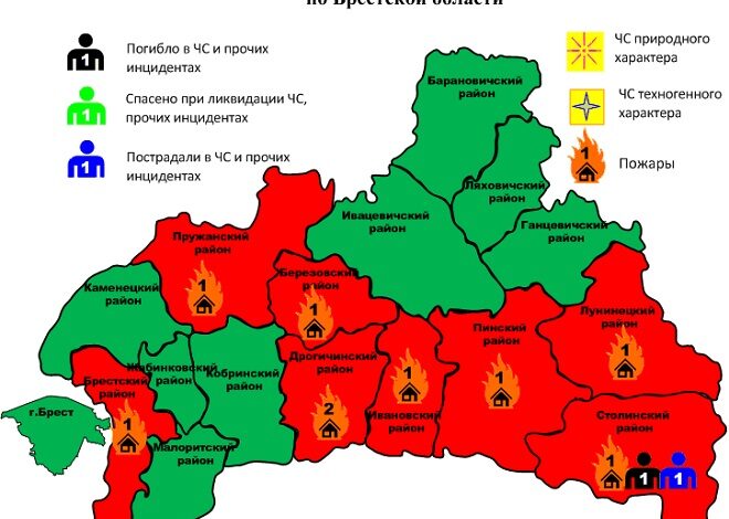 За прошедшие сутки в Брестской области зарегистрировано 9 пожаров