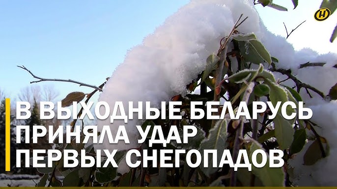 СНЕГОПАДЫ В БЕЛАРУСИ: смертельное ДТП, десятки травм и ушибов. ЧЕГО ЖДАТЬ ЕЩЕ?