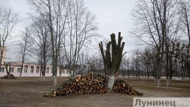 Обновленный вид приобретает сквер на территории микашевичской СШ №1