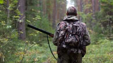 Какие орудия охоты можно использовать при охоте на различных охотничьих животных