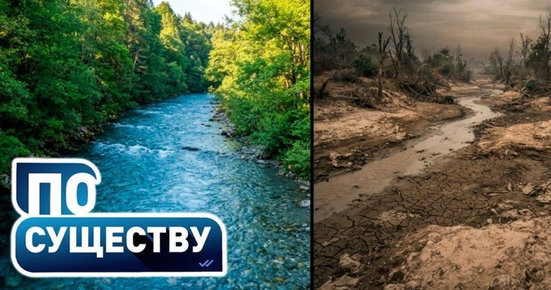 Куда уходит вода на Полесье, почему реки стали мелеть и как глобальное потепление влияет на белорусские леса