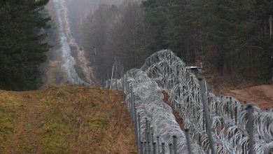 За выходные, 14 и 15 апреля, белорусскими пограничниками на границе с Польшей и Латвией обнаружены два мертвых лося