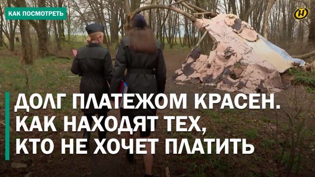 Жизнь в лесу! Как должники скрываются и чем это заканчивается?