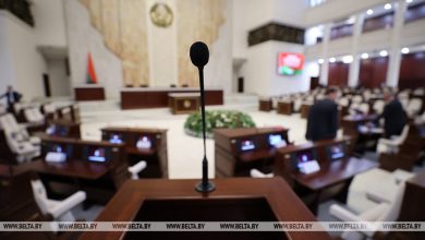 Лукашенко принял предложение парламентариев — Эйсмонт раскрыла подробности предстоящей встречи