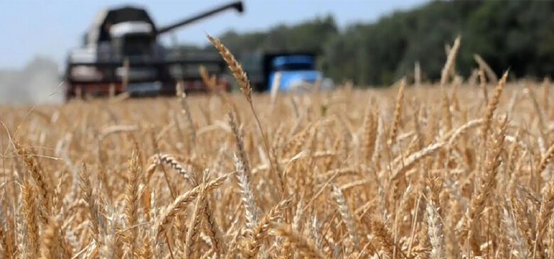 Госконтроль выявил нарушения при уборке урожая в Брестской области