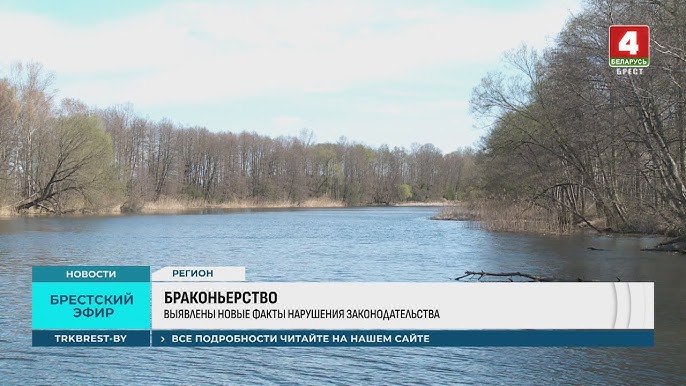 Десятки тысяч ущерба! Новые факты браконьерства выявлены в Брестской области 
