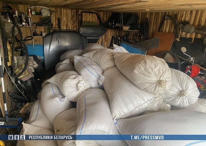 В Лунинецком районе украли 4,5 тонны зерна