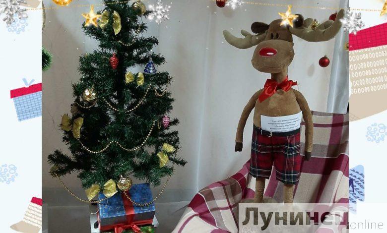 Какие подарки Деду Морозу и не только готовили в Лунинецком районе?