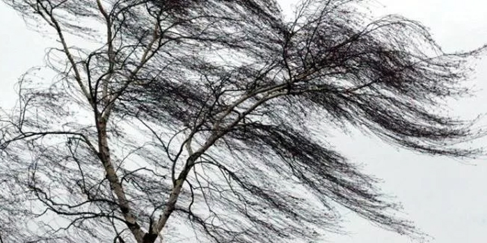 Энергетики ввели особый режим работы в Брестской области