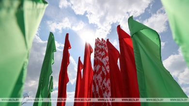 Конкурс на лучший символ Года мира и созидания объявлен в Беларуси