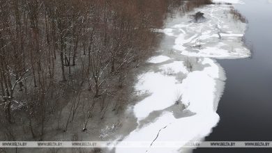 Весенний паводок. Спасатели рассказали о ситуации в стране