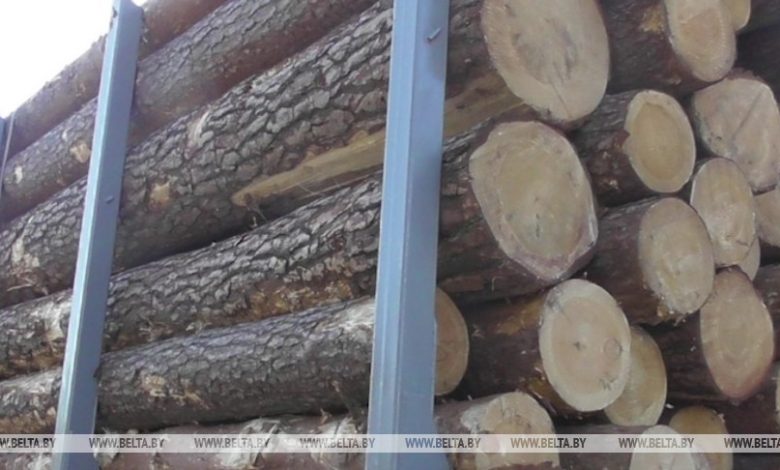 Крупную партию краденой древесины задержали под Микашевичами