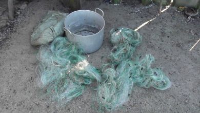 В Лунинецком районе призывают добровольно сдать рыболовные сети