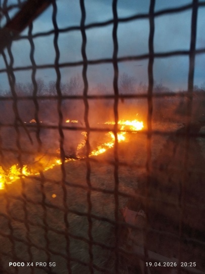 Ликвидированы возгорания в пойме Припяти 