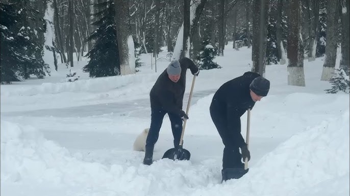 Лукашенко с сыном Николаем убирают снег! // Циклон "Улли" накрыл Беларусь
