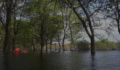 Почему стоит поехать в Полесье? Отдых с уникальным кодом 