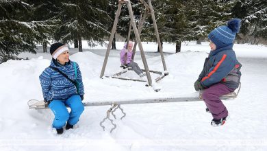 В Беларуси насчитывается более 121 тыс. многодетных семей