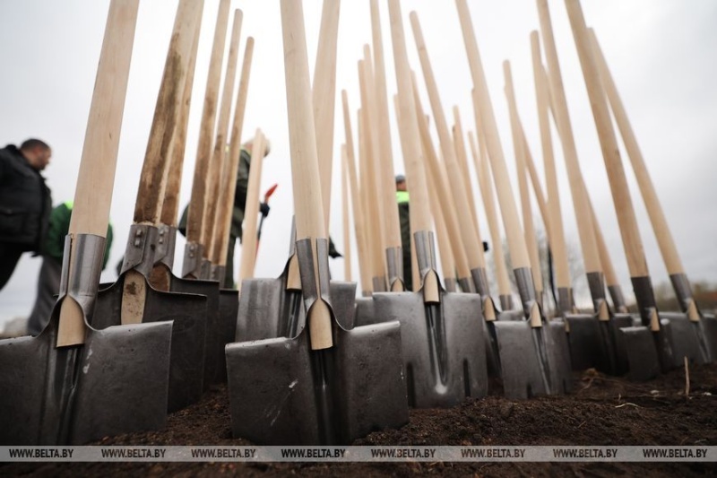 Республиканский субботник проходит в Беларуси 