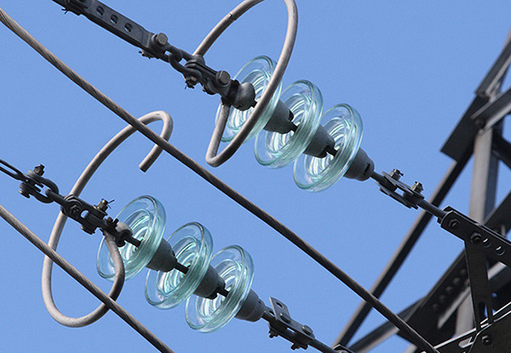 Лукашенко поставил задачу по обновлению в Беларуси электросетей