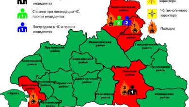 Пять пожаров произошло в Брестской области: два человека спасены, один — погиб