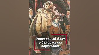 Хозяева леса против Вермахта! Вы знали, что 60% Беларуси были освобождены партизанами до 1944-го?