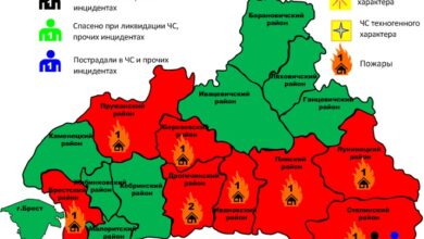 За прошедшие сутки в Брестской области зарегистрировано 9 пожаров