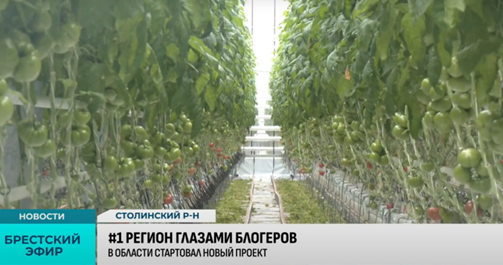 Целый удивительный мир Полесья | Блогеры наехали в Столинский район