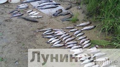 Жителя Лунинецкого района задержали за браконьерство на озере «Глубокое»