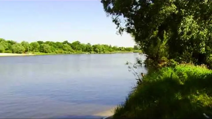 Установлен запрет на любительское рыболовство в канале «Микашевичский»