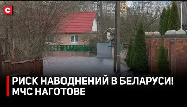 Белорусы готовятся к паводкам! Возможна эвакуация? | МЧС и ОСВОД наготове!