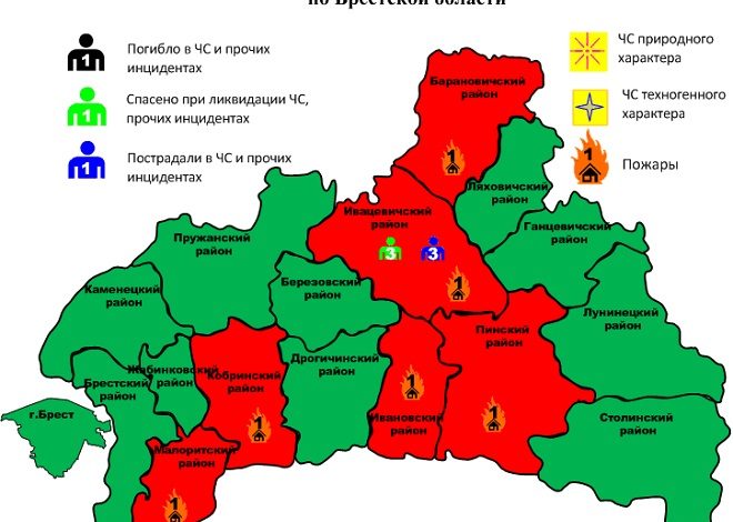 «Полыхнуло» В Брестской области произошло шесть пожаров за сутки: квартира, хозпостройки, баня и автомобиль