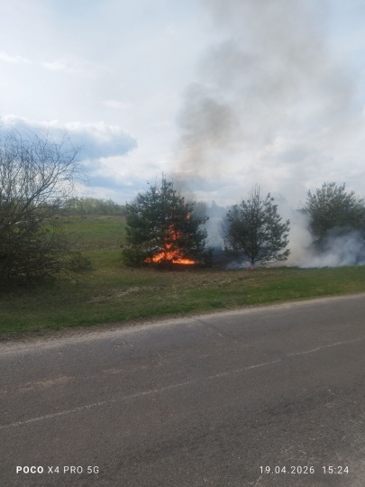 Вовремя успели ликвидировать загорание возле леса в Лунинецком районе