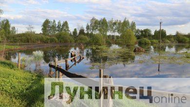 До конца недели спад уровней воды на реках Беларуси сохранится