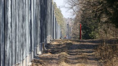 Польский забор: французские эко-активисты в шоке! (видео)