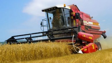 В Брестской области закупят к началу уборки зерновых 75 новых комбайнов, из них 7 — хозяйства Лунинецкого района