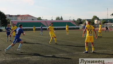 На стадионе «Полесье» состоялся матч «Гранит» – «БАТЭ»