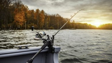 Подводная охота и лов рыбы на дорожку с судов. Все очень строго…