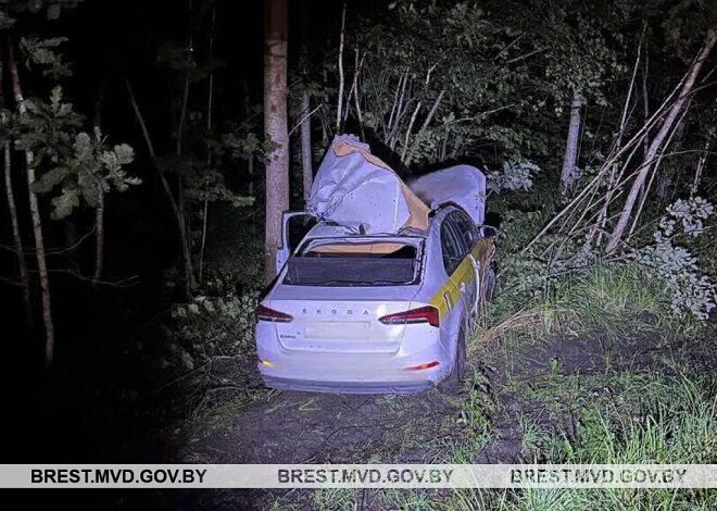 Житель Лунинецкого района на автомобиле «Skoda» сбил лося