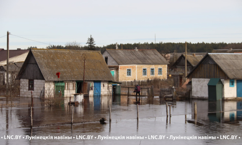 Дома, хозпостройки и дороги. Талые и паводковые воды подтапливают Брестскую и Гомельскую области