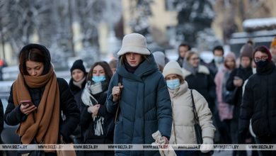 Политолог: Беларусь выбрала путь стабильной модернизации