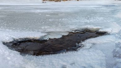 В Брестской области произошла трагедия. Погибли дети