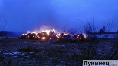 В Лунинецком районе сгорело 32 тонны соломы