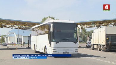 ПРОИЗВОЛ ПОЛЬСКОЙ СТОРОНЫ НА ГРАНИЦЕ (видео)