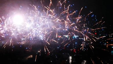 Как прошли новогодние гулянья и происшествия в выходные на Брестчине (видео)