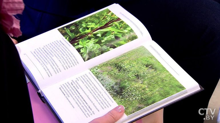 Чужеродные виды растений и животных в Беларуси