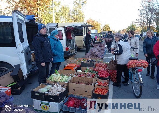 График проведения ярмарок по продаже сельхозпродукции в городах Брестской области. Все подробности 