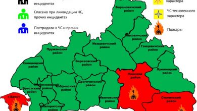 Три автомобиля горело в Брестской области за прошедшие сутки