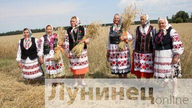 Обряд “Зажинки” провели в Лунинецком районе