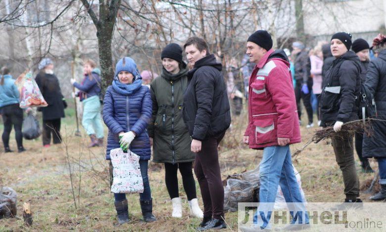 Районный субботник организовали на Лунинетчине (большой фоторепортаж)