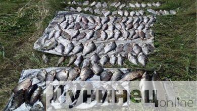 Задержаны очередные браконьеры в Лунинецком и Столинском районах